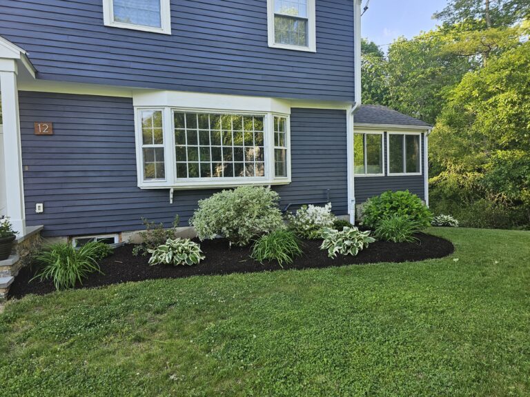 Plantings11