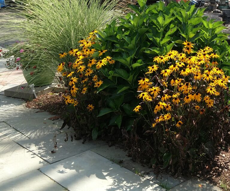Plantings14